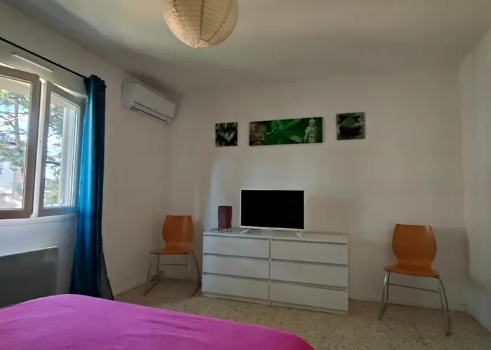 Maison Climatisee Pour Vous Seul Avec Piscine Et Jardin